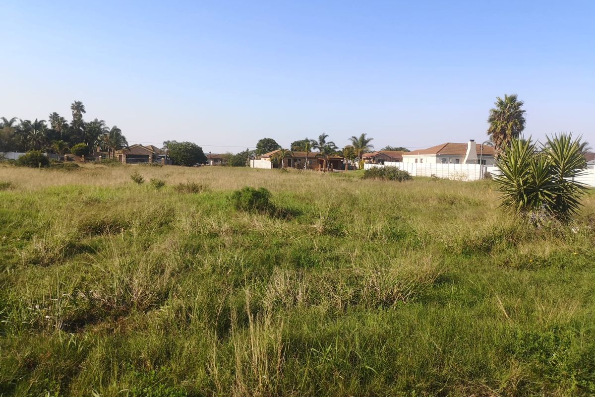 A Rare Opportunity in a Thriving Community - Photo 2