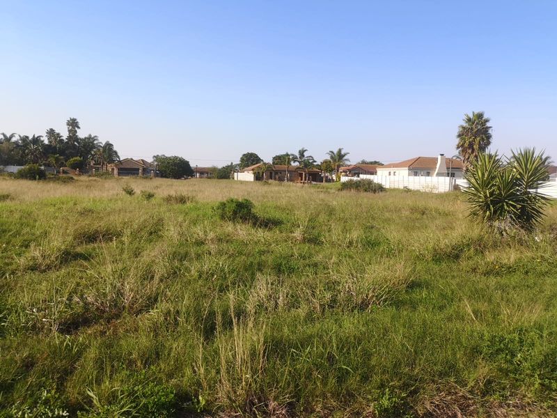 A Rare Opportunity in a Thriving Community - Photo 2