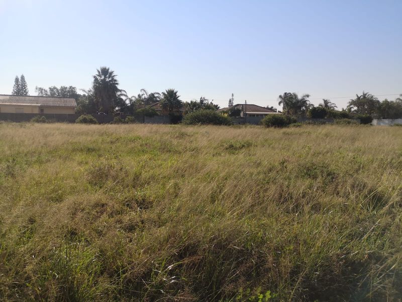 A Rare Opportunity in a Thriving Community - Photo 8