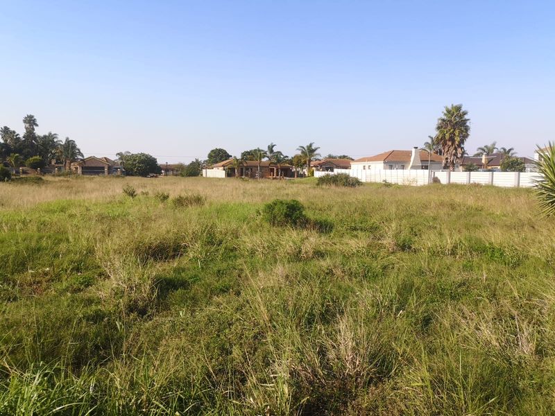 A Rare Opportunity in a Thriving Community - Photo 4