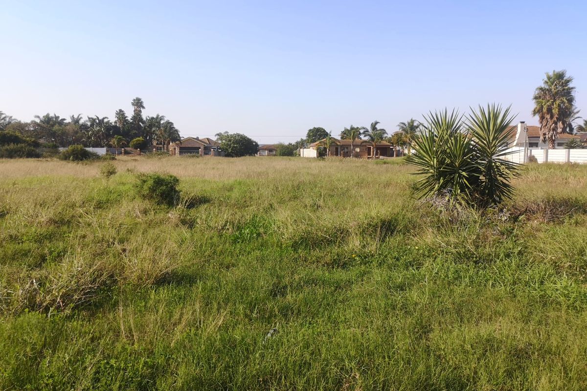 A Rare Opportunity in a Thriving Community - Photo 3