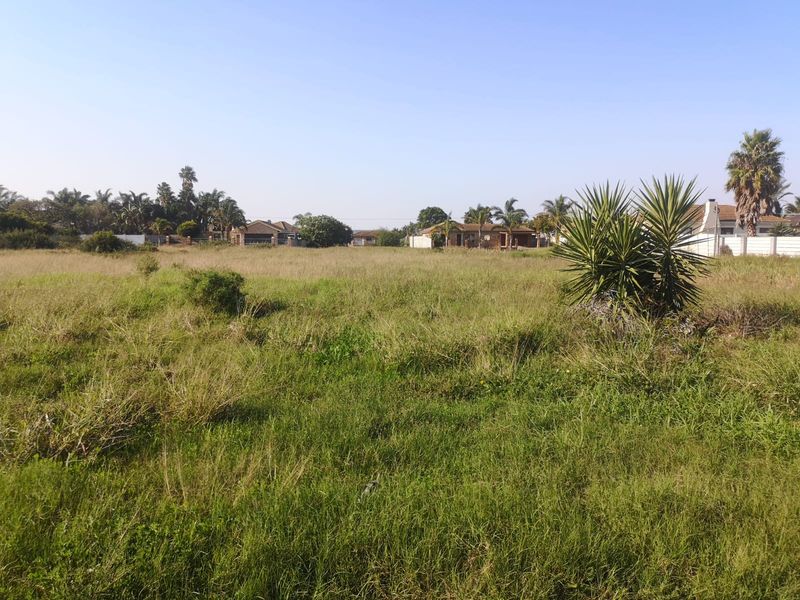 A Rare Opportunity in a Thriving Community - Photo 3