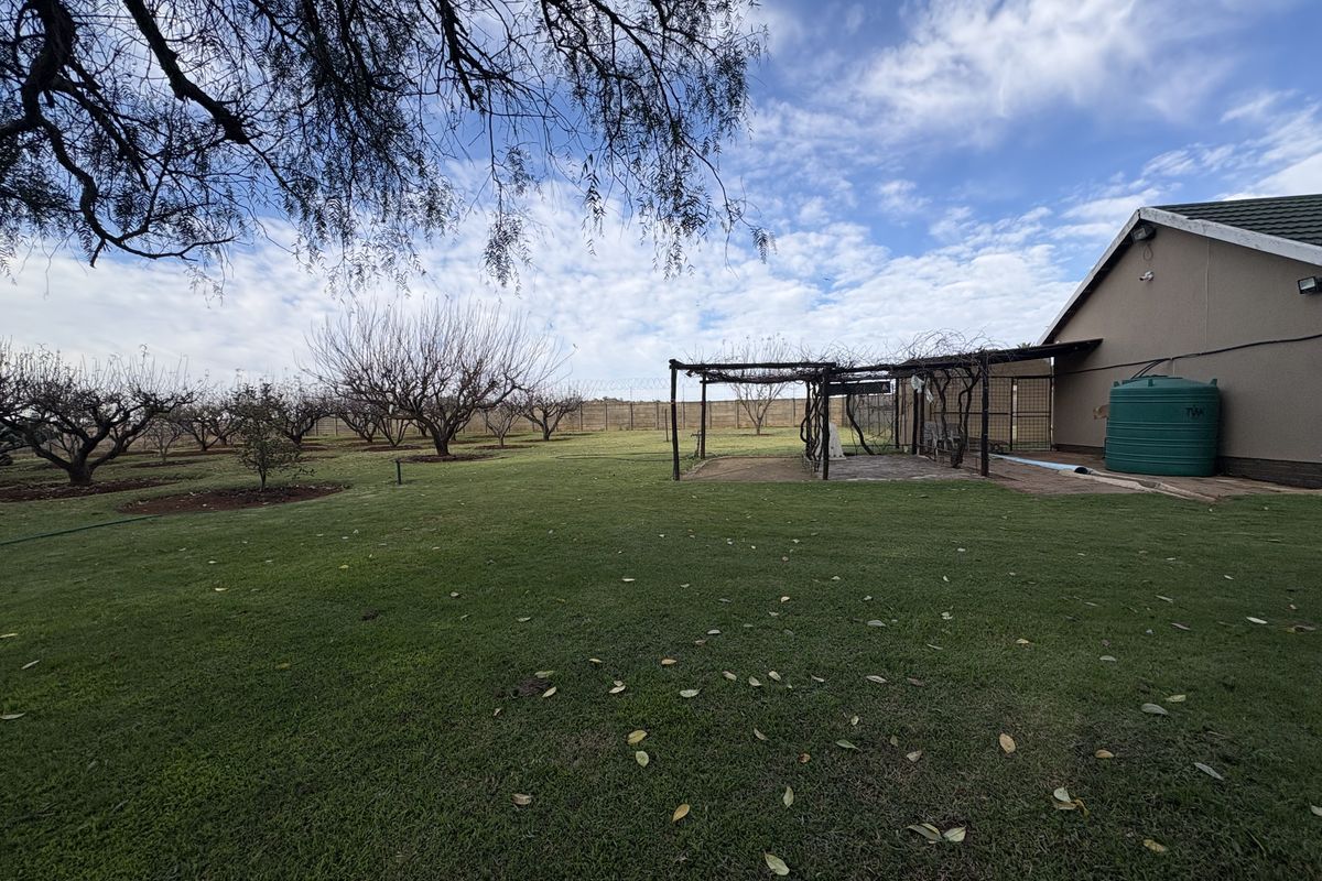 Nature's Pantry at Your Doorstep – Home with a Large Yard, Fruit Trees, and Vegetable Gardens - Photo 2