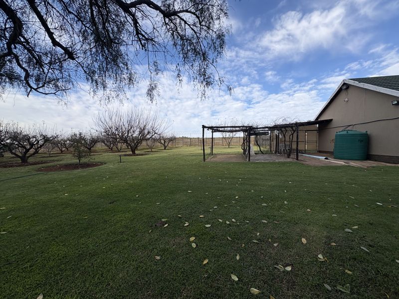 Nature's Pantry at Your Doorstep – Home with a Large Yard, Fruit Trees, and Vegetable Gardens - Photo 2