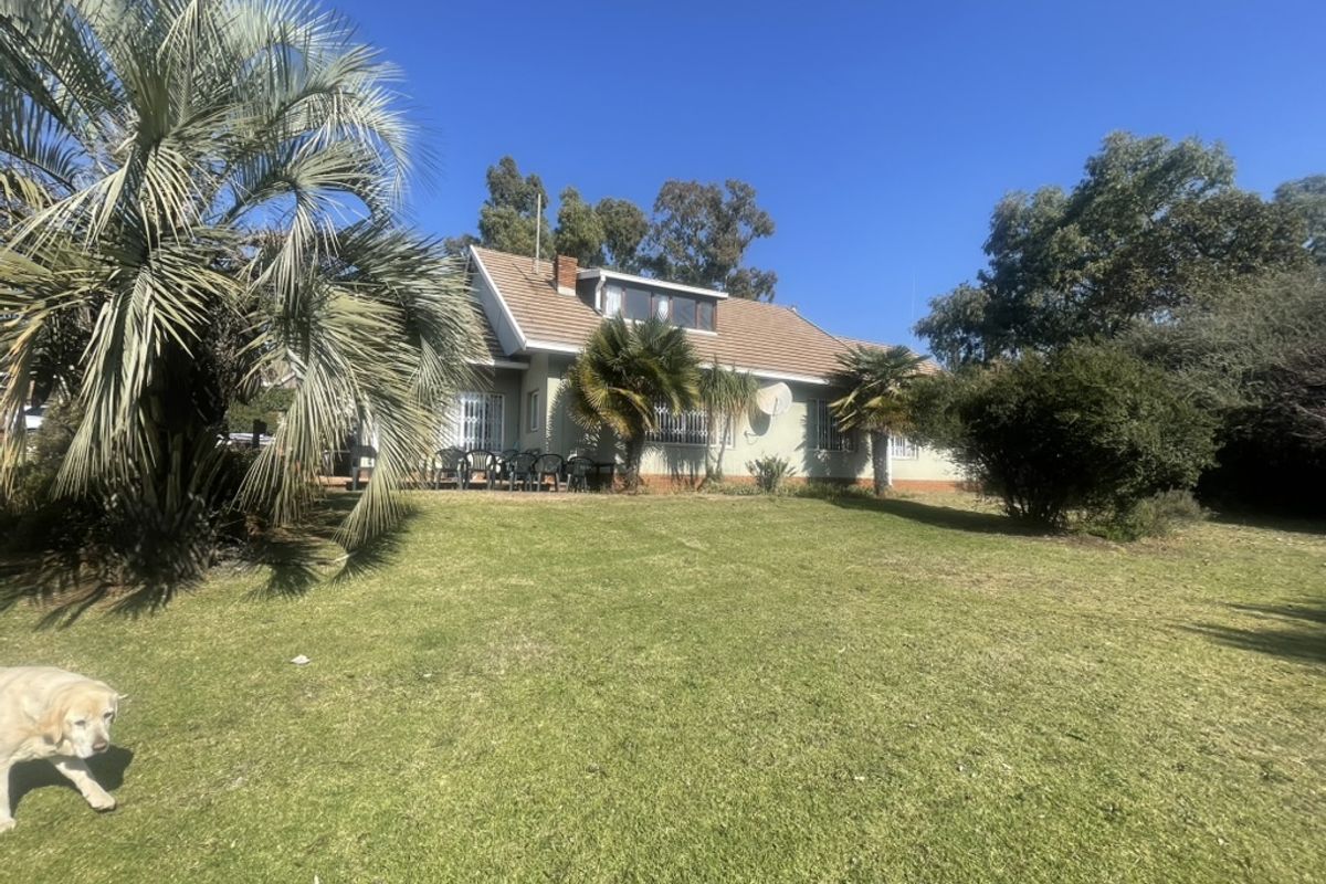 Corner Stand - Main House - Cottage - Granny Flat - Fruit Trees!!!! - Photo 2