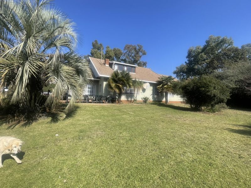 Corner Stand - Main House - Cottage - Granny Flat - Fruit Trees!!!! - Photo 2