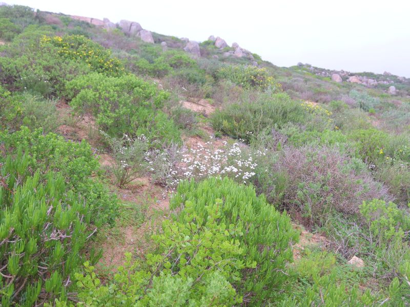 Vacant land for Sale in St Helena Views in St Helena bay - Photo 10