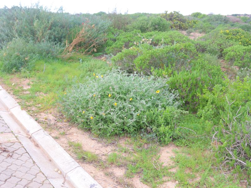 Vacant land for Sale in St Helena Views in St Helena bay - Photo 9