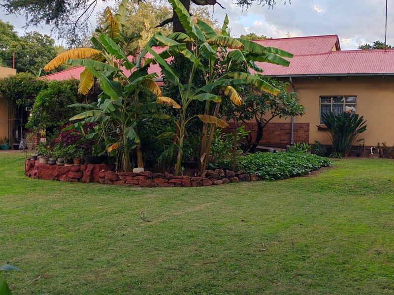 3 Bedroom home plus flat possibility - Photo 1