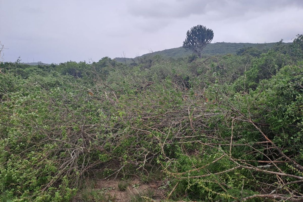 Land for sale in  Mandeni - Photo 4