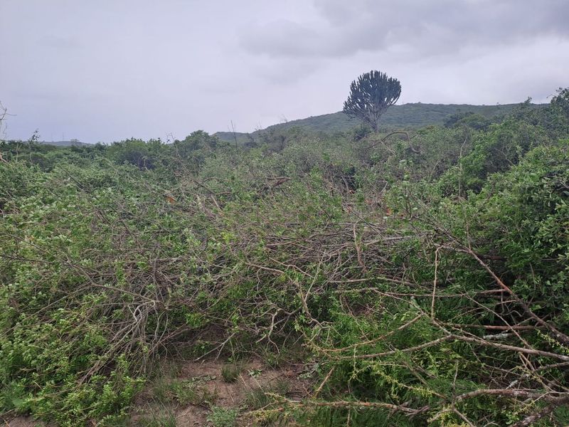 Land for sale in  Mandeni - Photo 4