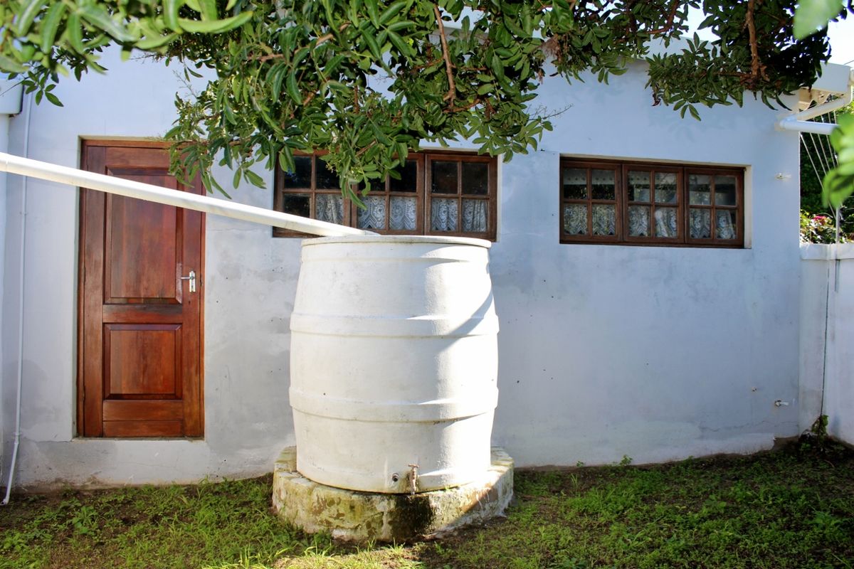 Rear exterior view showing a water tank installation, timber door, and timber frame windows against a painted masonry wall.