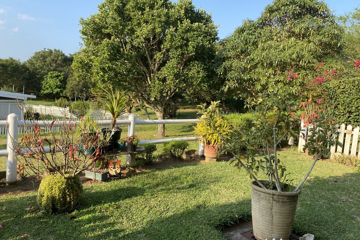 Garden Apartment - Photo 2