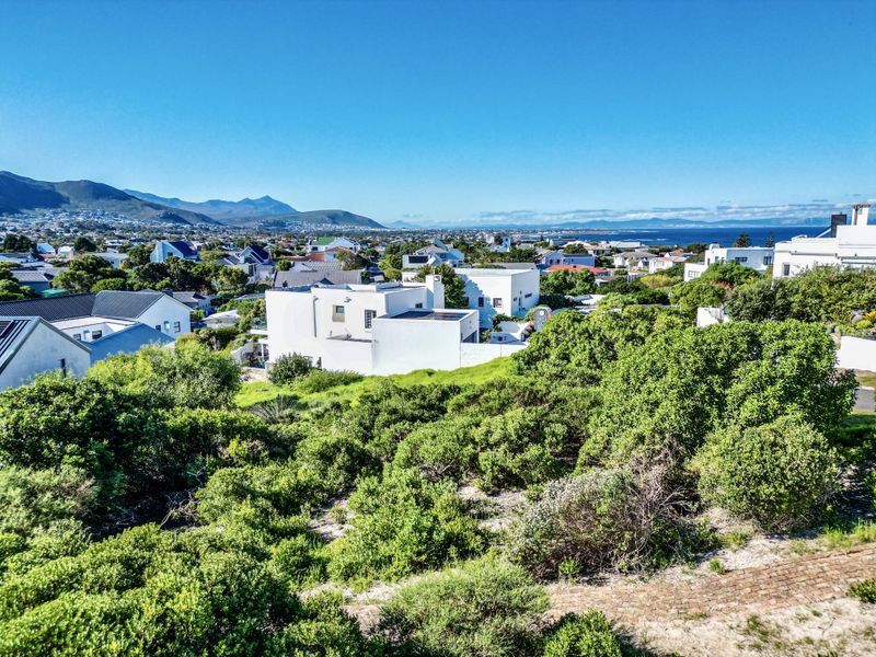 Elevated Position. Exceptional Vacant Land Opportunity - Photo 10
