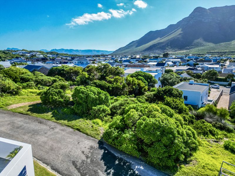 Elevated Position. Exceptional Vacant Land Opportunity - Photo 6