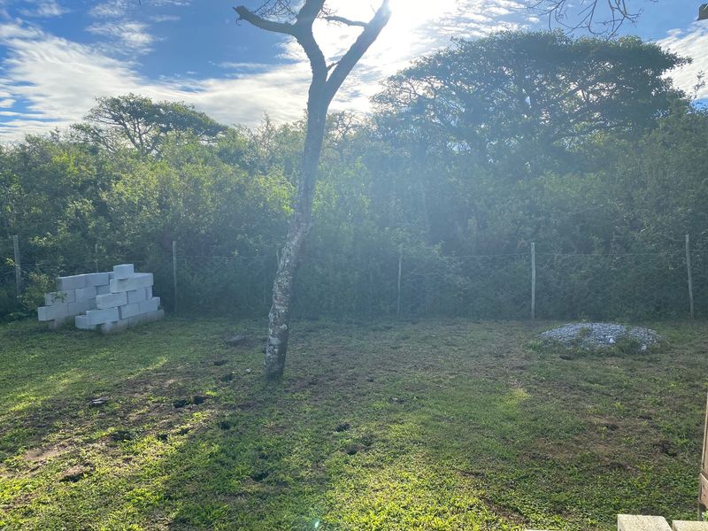 A view of a grassy residential plot featuring mature trees and a wire mesh perimeter fence.