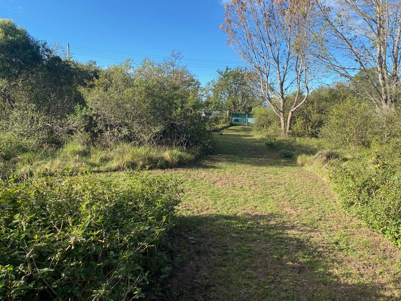 A view of a vacant residential plot featuring a cleared grassy area surrounded by mature trees and natural vegetation.