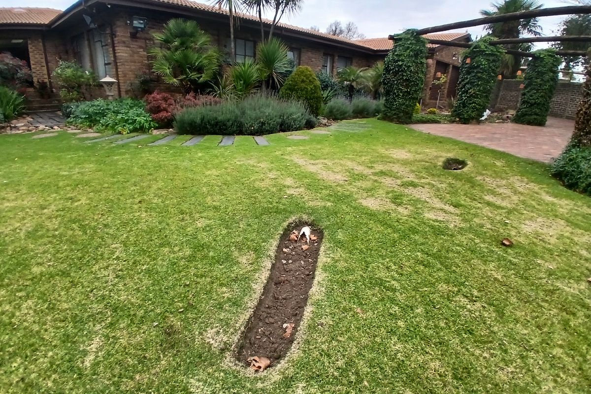 CLASSIC FACEBRICK FAMILY HAVEN WITH LUSH GARDEN - Photo 3