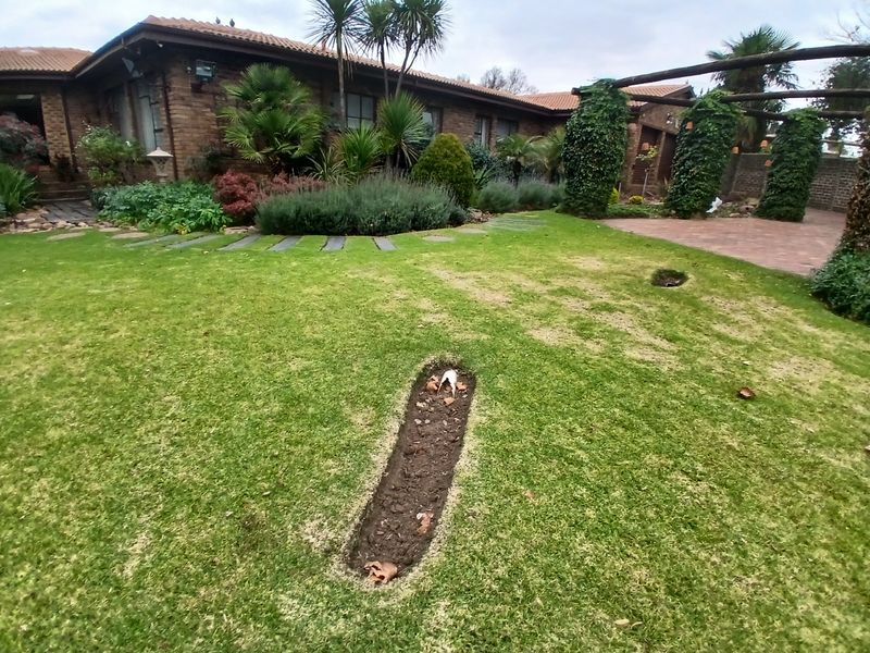CLASSIC FACEBRICK FAMILY HAVEN WITH LUSH GARDEN - Photo 3