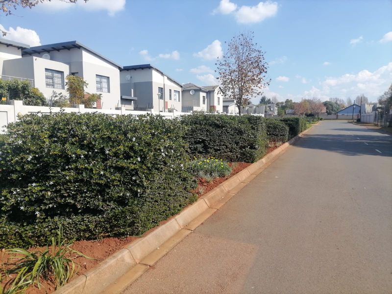 A clear street view of a residential estate featuring paved roads, well-maintained landscaped verges, and modern perimeter walling with security fencing.