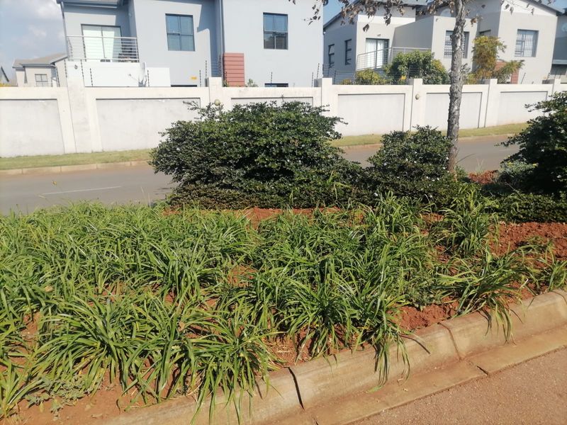 A view of the street verge featuring landscaped garden beds, concrete kerbing, and a secure boundary wall with electric fencing.