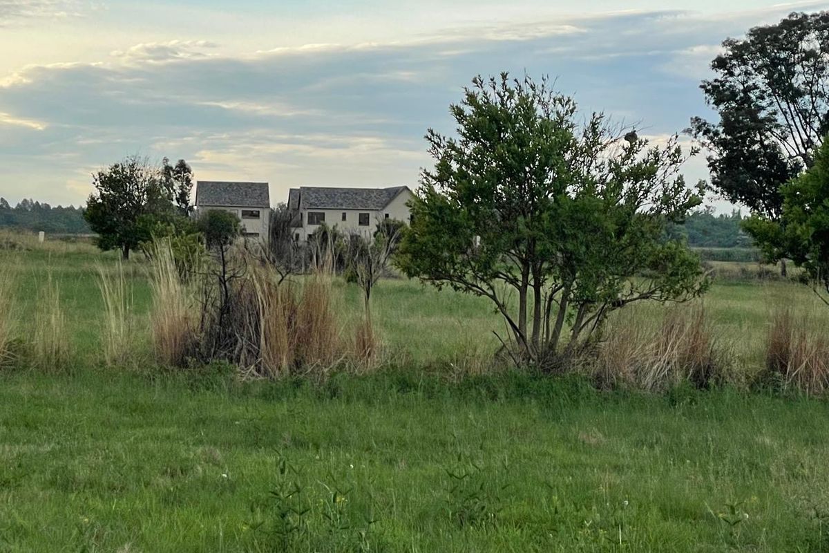 A view of a vacant residential plot featuring natural grassland and mature trees with neighboring properties visible in the background.