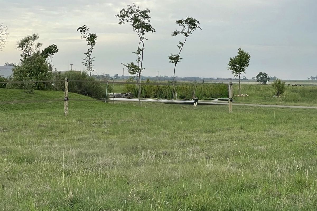 Vacant Stand for Sale in Cloudy Creek Nature Reserve – Includes Building Plans - Photo 5
