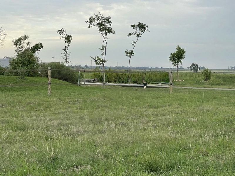 Vacant Stand for Sale in Cloudy Creek Nature Reserve – Includes Building Plans - Photo 5