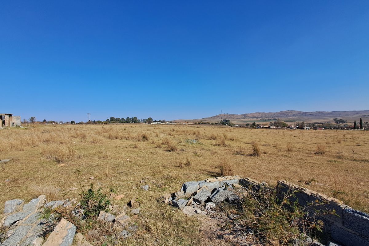 2ha Agricultural Holding up for grabs - Photo 2