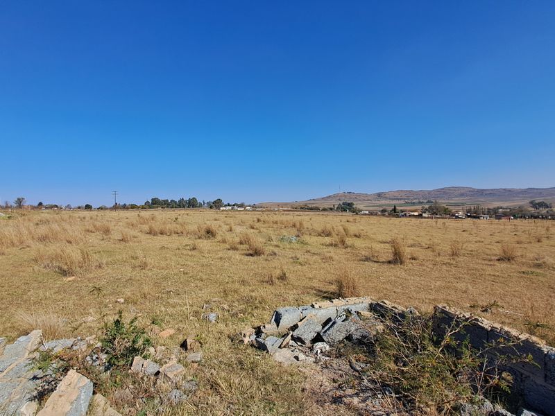 2ha Agricultural Holding up for grabs - Photo 2