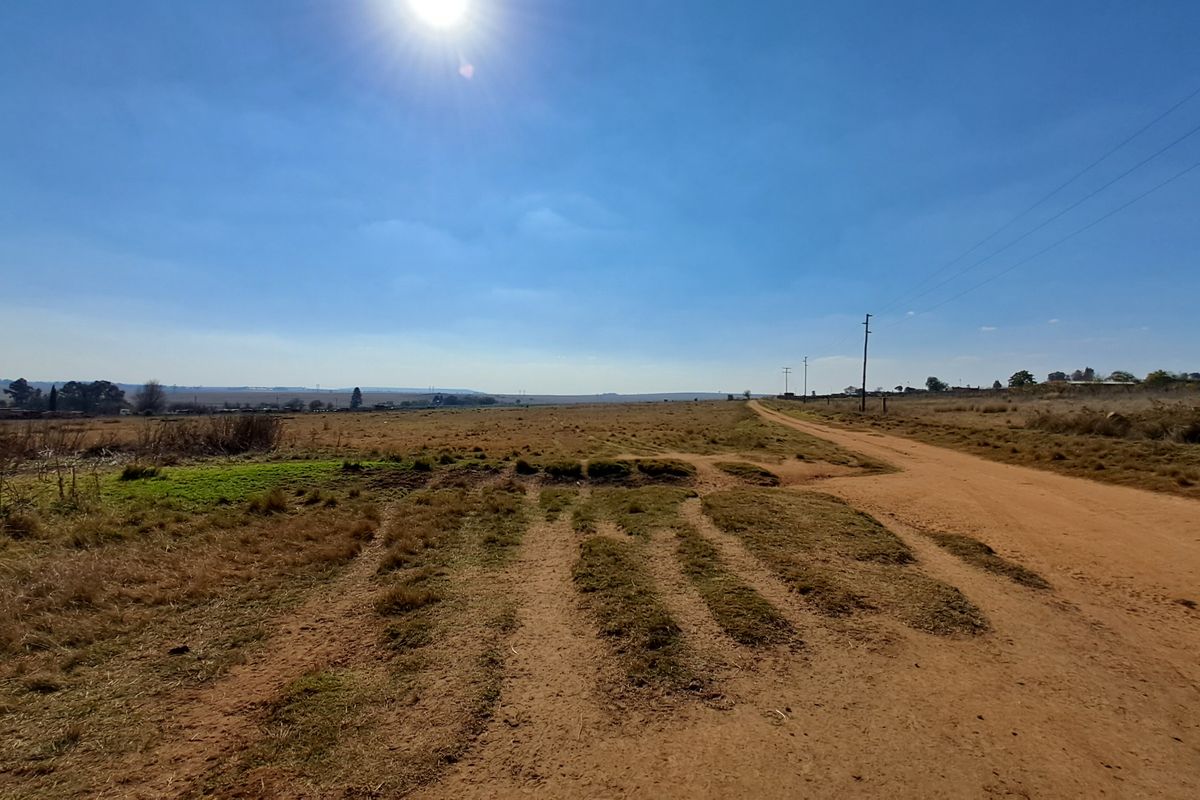 2ha Agricultural Holding up for grabs - Photo 4
