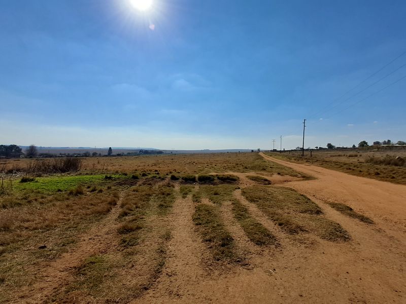 2ha Agricultural Holding up for grabs - Photo 4