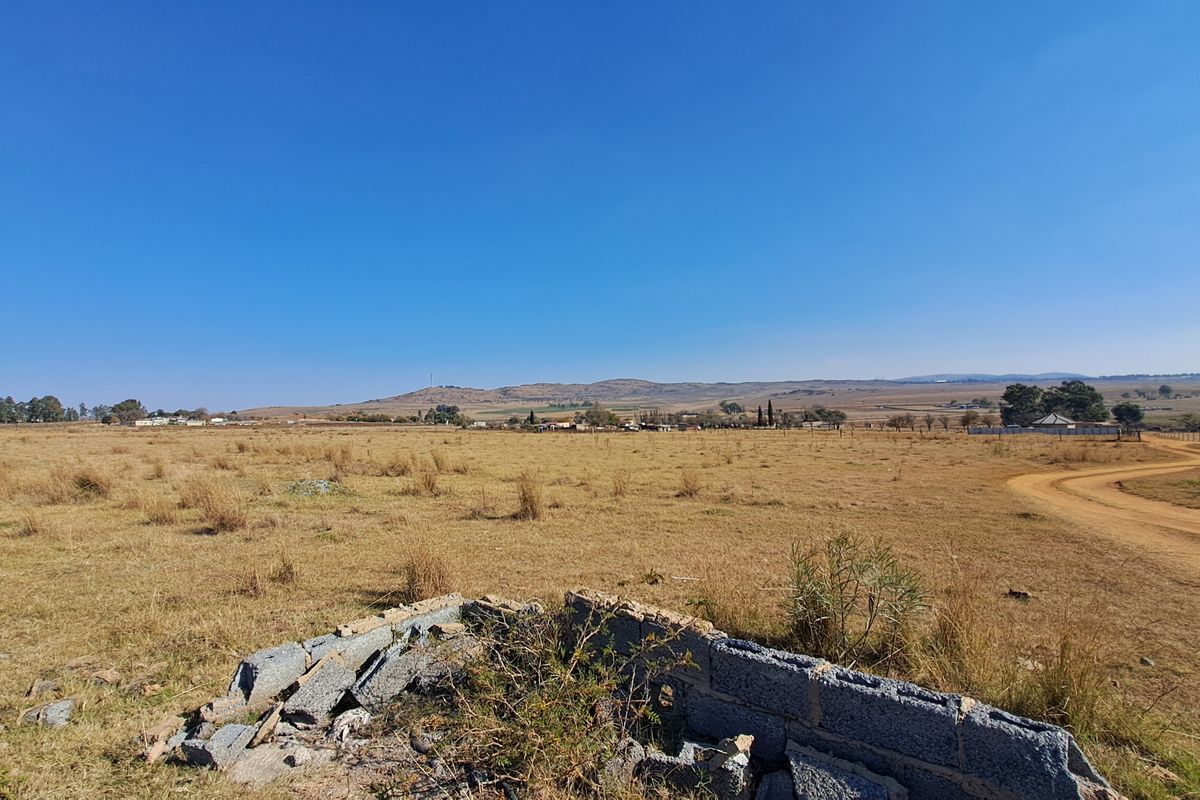 2ha Agricultural Holding up for grabs - Photo 3