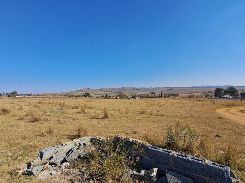 2ha Agricultural Holding up for grabs - Photo 3