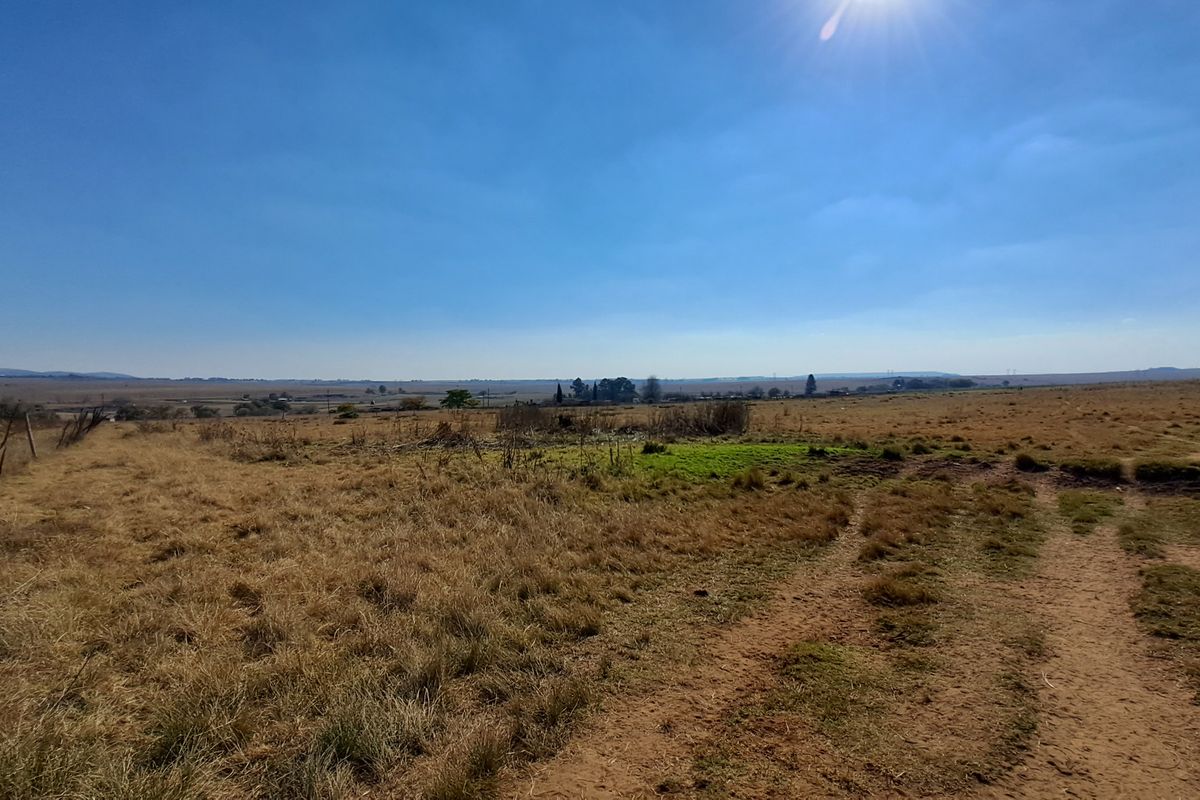 2ha Agricultural Holding up for grabs - Photo 5