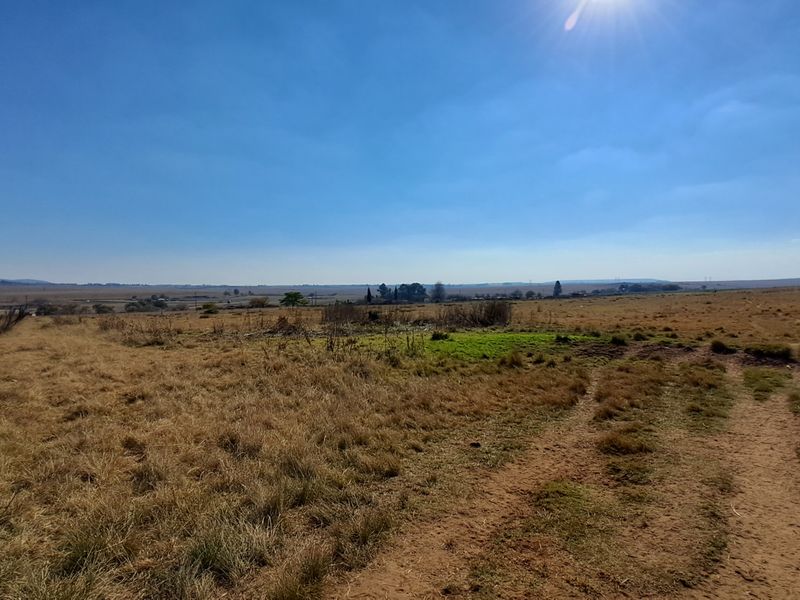 2ha Agricultural Holding up for grabs - Photo 5