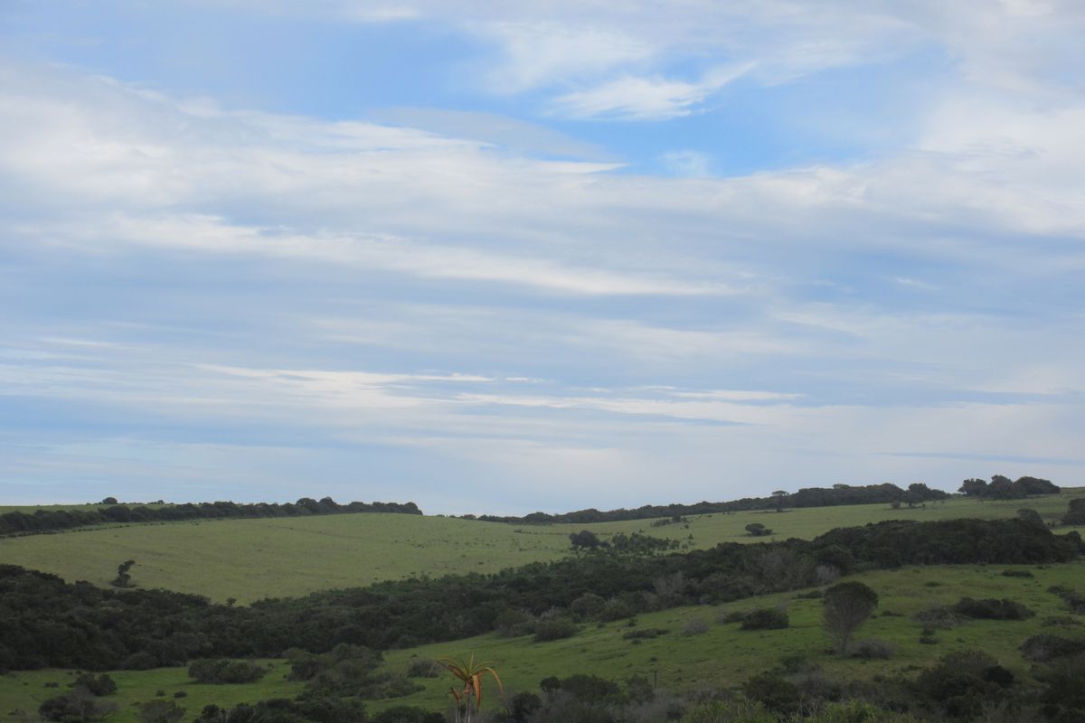 Own a Slice of Heaven in Port Alfred's Umdoni Downs Estate - Photo 3