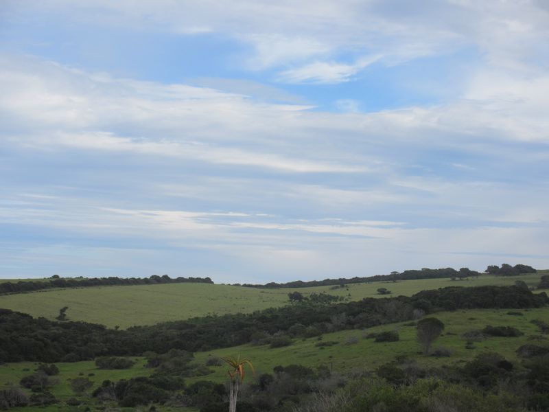 Own a Slice of Heaven in Port Alfred's Umdoni Downs Estate - Photo 3
