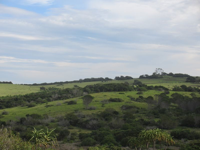 Own a Slice of Heaven in Port Alfred's Umdoni Downs Estate - Photo 10