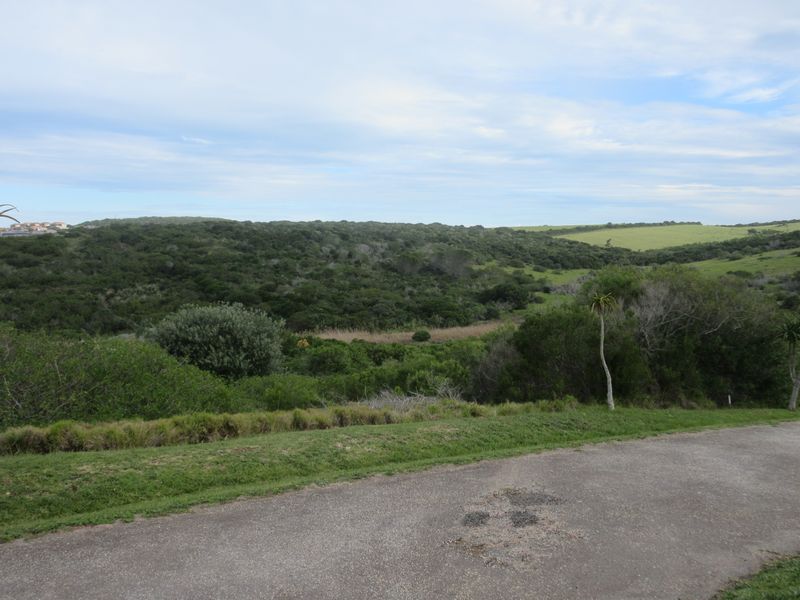 Own a Slice of Heaven in Port Alfred's Umdoni Downs Estate - Photo 9