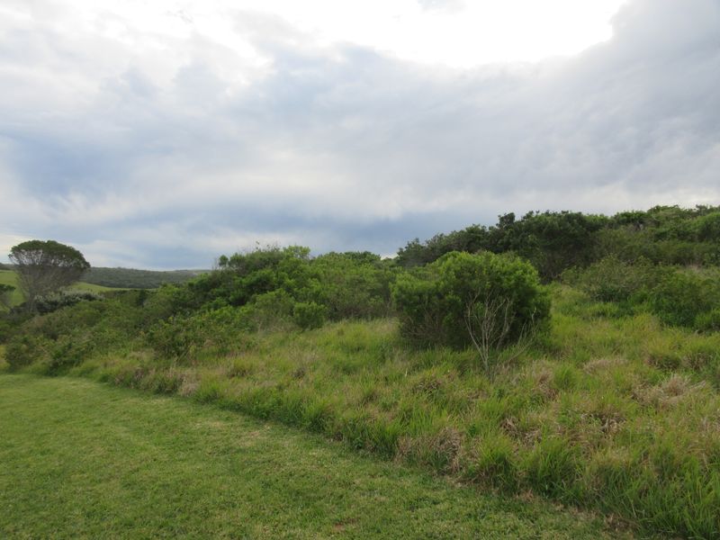 Own a Slice of Heaven in Port Alfred's Umdoni Downs Estate - Photo 8