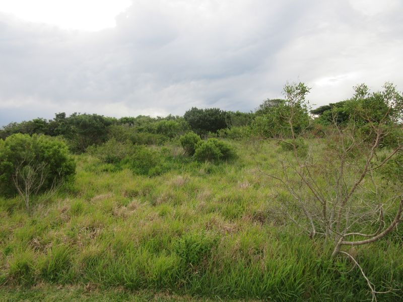Own a Slice of Heaven in Port Alfred's Umdoni Downs Estate - Photo 7