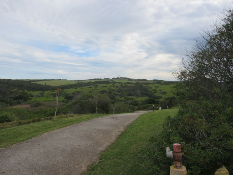 Own a Slice of Heaven in Port Alfred's Umdoni Downs Estate - Photo 6