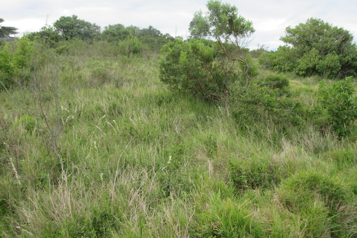 Own a Slice of Heaven in Port Alfred's Umdoni Downs Estate - Photo 4