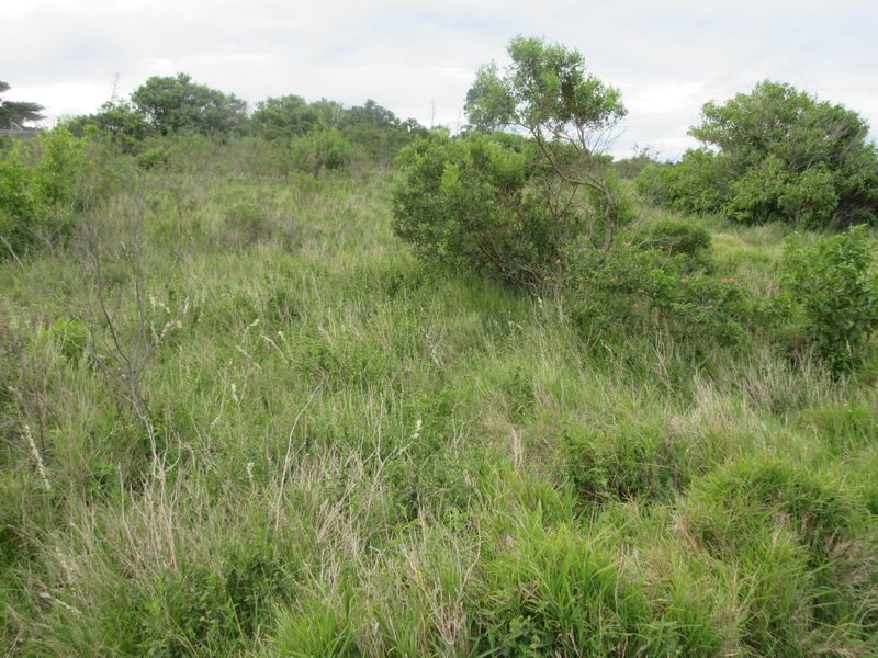 Own a Slice of Heaven in Port Alfred's Umdoni Downs Estate - Photo 4