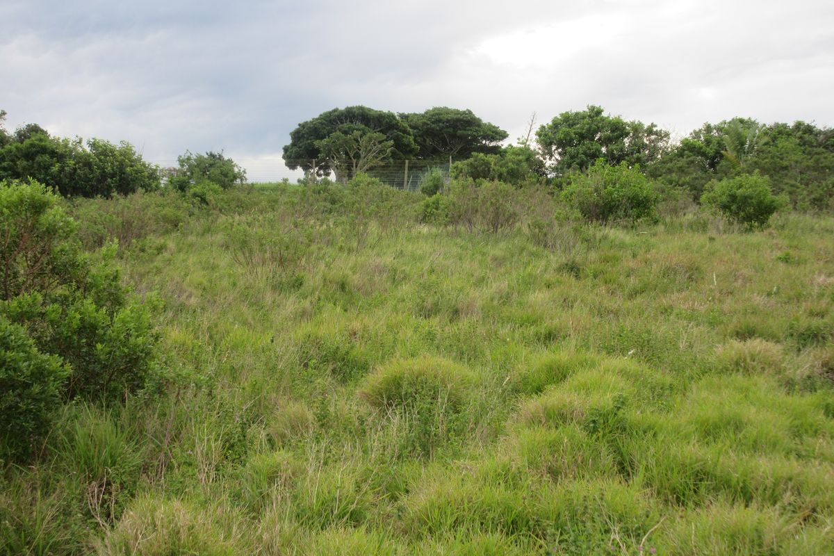 Own a Slice of Heaven in Port Alfred's Umdoni Downs Estate - Photo 2