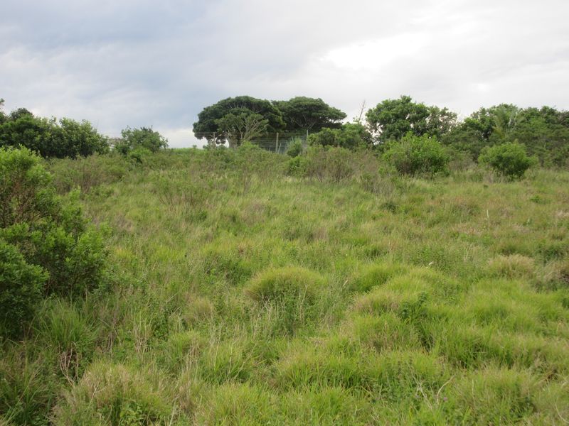 Own a Slice of Heaven in Port Alfred's Umdoni Downs Estate - Photo 2