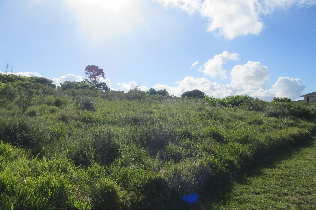 The Best of Secure Living in Port Alfred's Umdoni Downs Estate - Photo 4