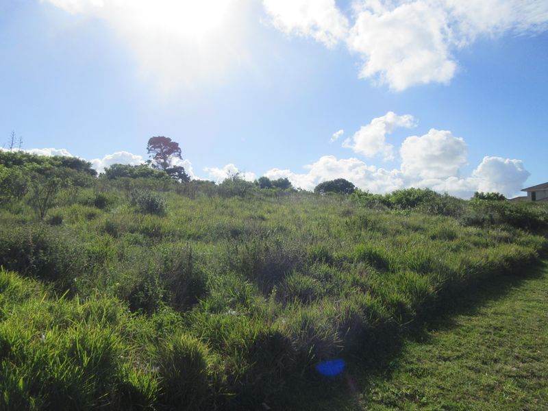 The Best of Secure Living in Port Alfred's Umdoni Downs Estate - Photo 4