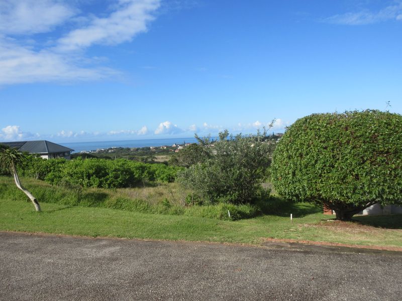 The Best of Secure Living in Port Alfred's Umdoni Downs Estate - Photo 8